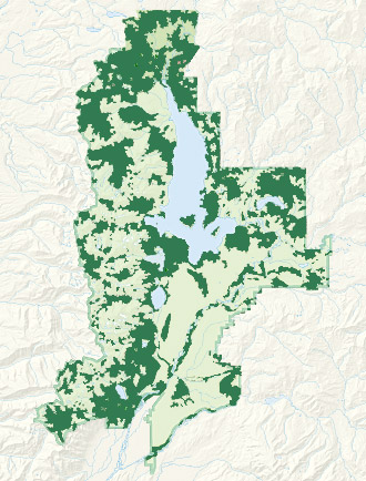 Forest Community Map