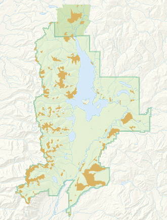 Meadow Community Map